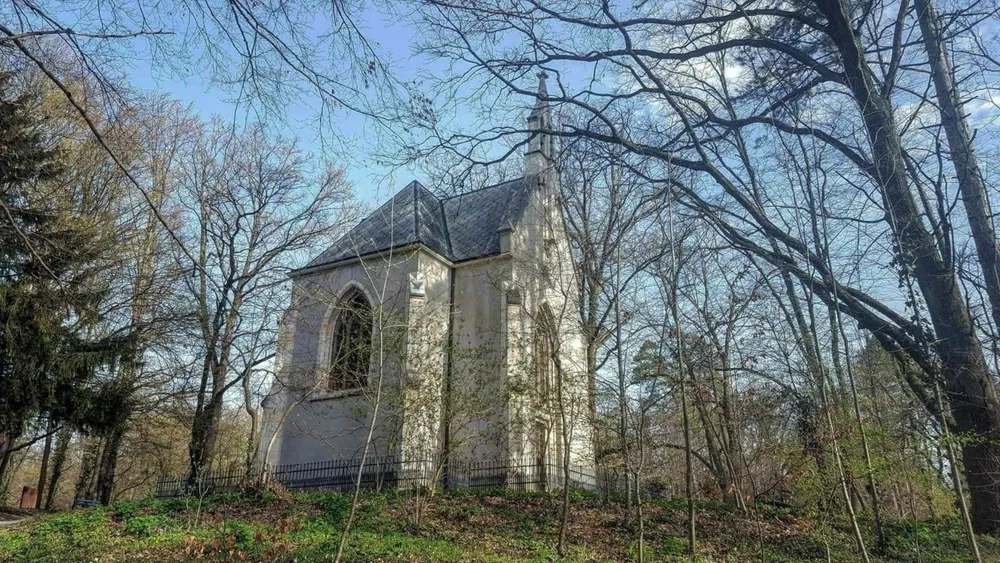 Small chapel surrounded by trees